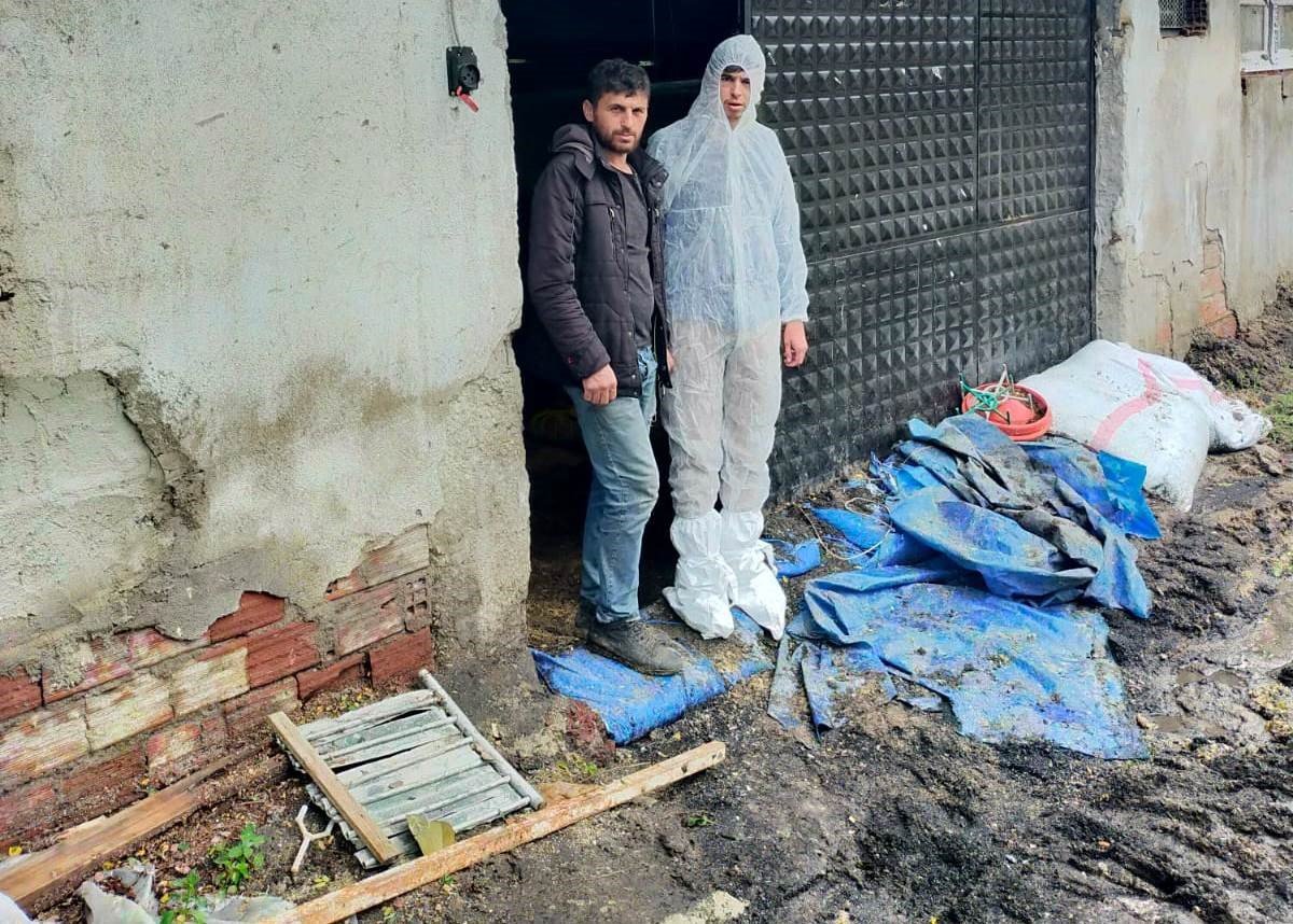 Gediz’de selden zarar gören tavuk işletmesinde hasar tespit çalışması