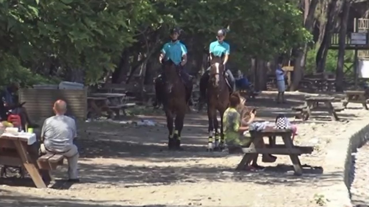 Jandarma orman yangınlarına karşı teyakkuzda