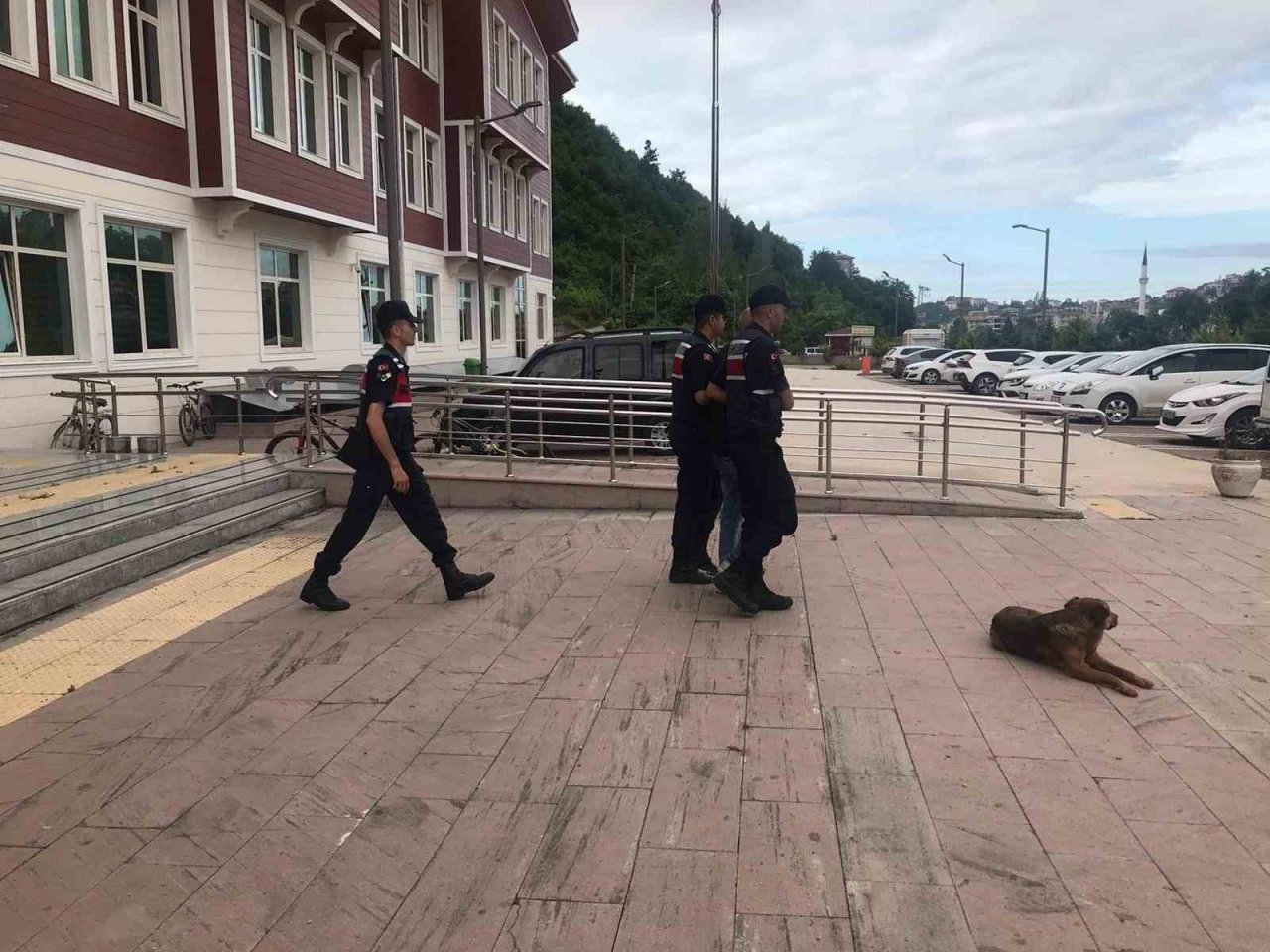 Jandarmadan aranan şahıslara operasyon: 26 gözaltı