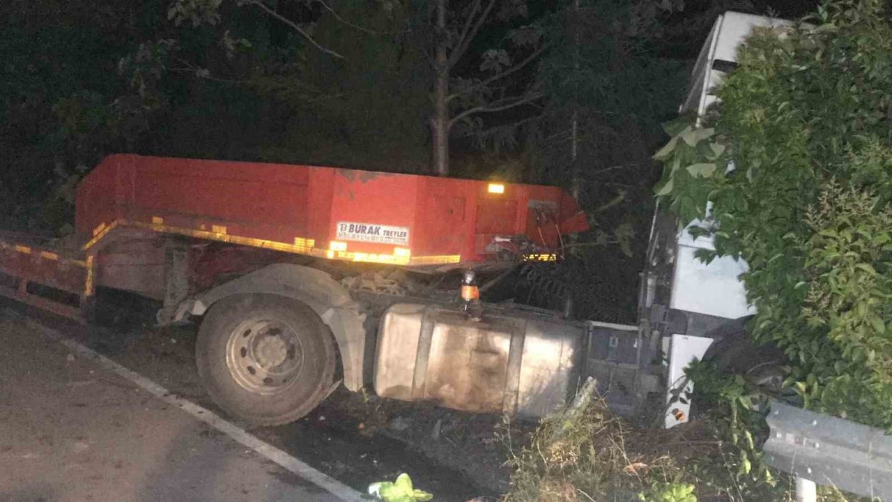Tır bariyerlere çarptı, taşıdığı iş makineleri uçurumdan metrelerce aşağı uçtu