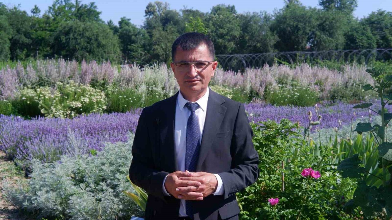 Kozmetik ve ilaç sanayiinin bitkileri Edirne’de yetiştiriliyor