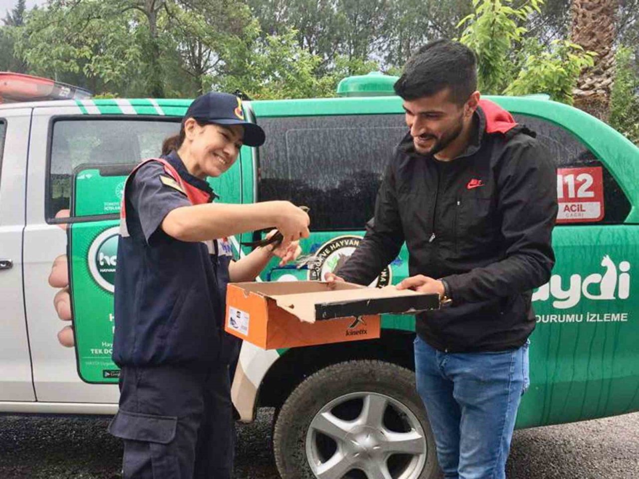 Yaralı Ebabil kuşu eve sığındı