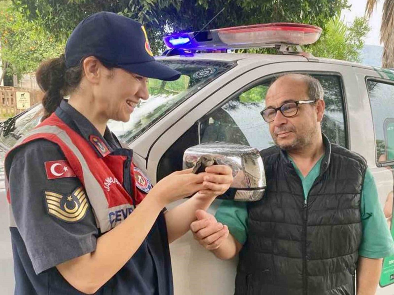 Yaralı Ebabil kuşu eve sığındı