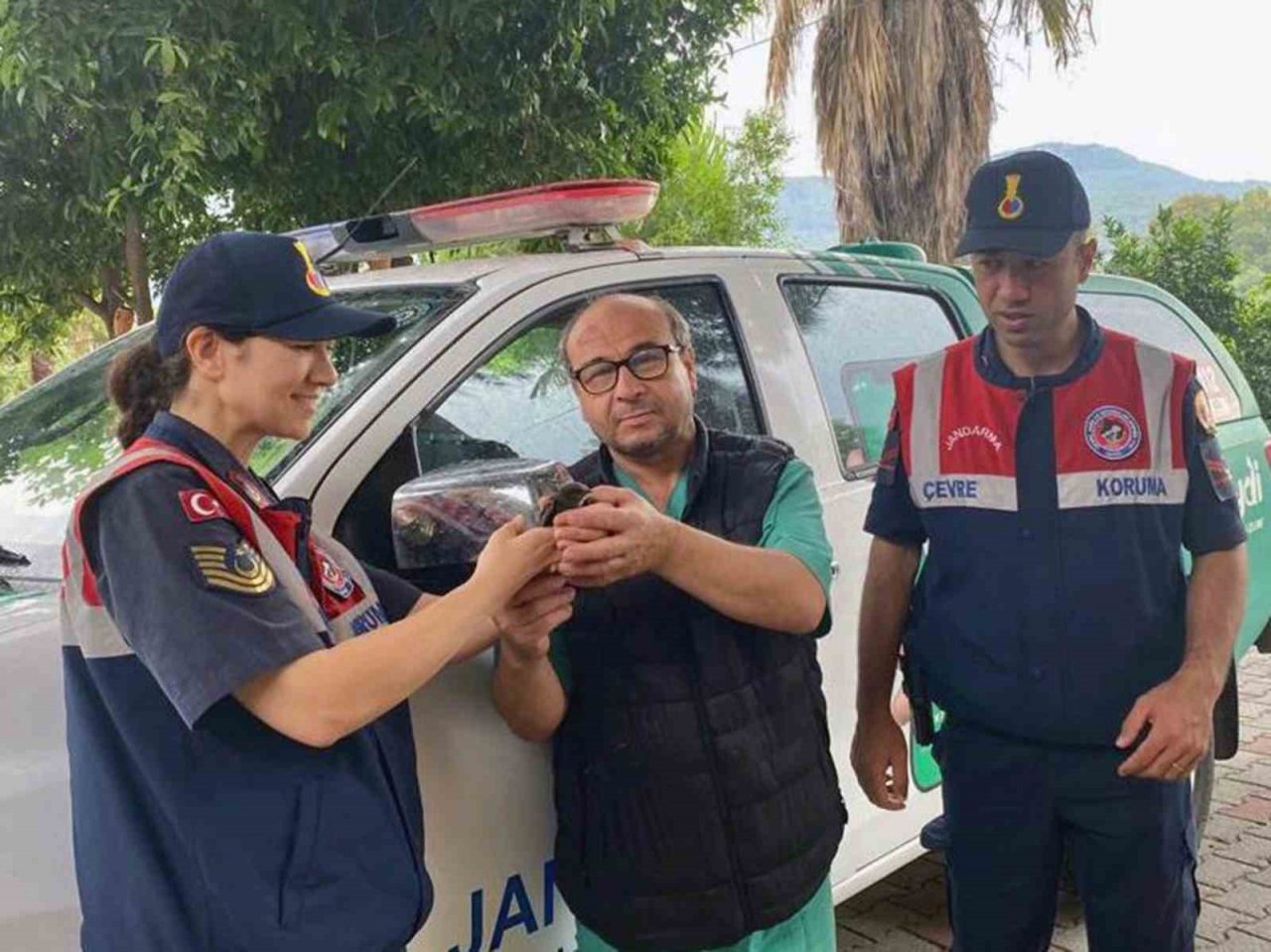 Yaralı Ebabil kuşu eve sığındı