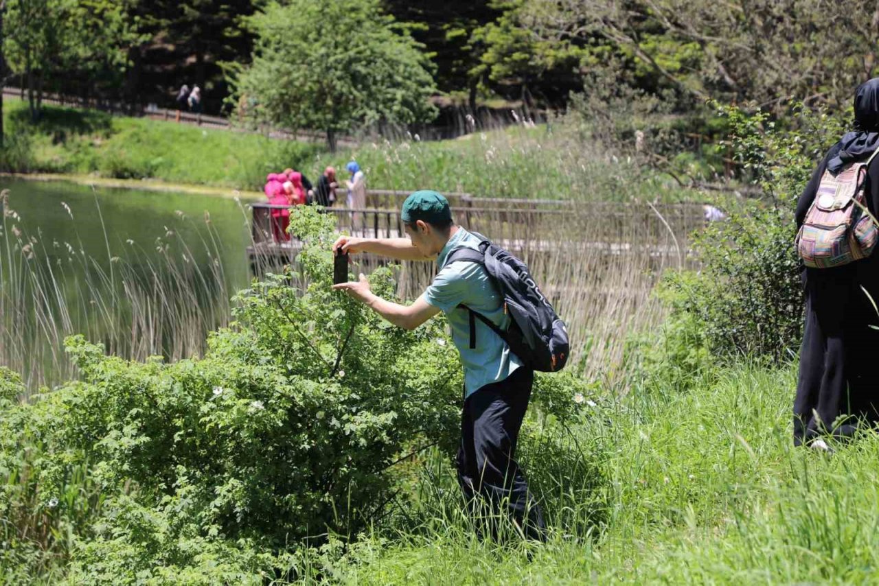 Fotoğraf meraklıları soluğu doğada aldı