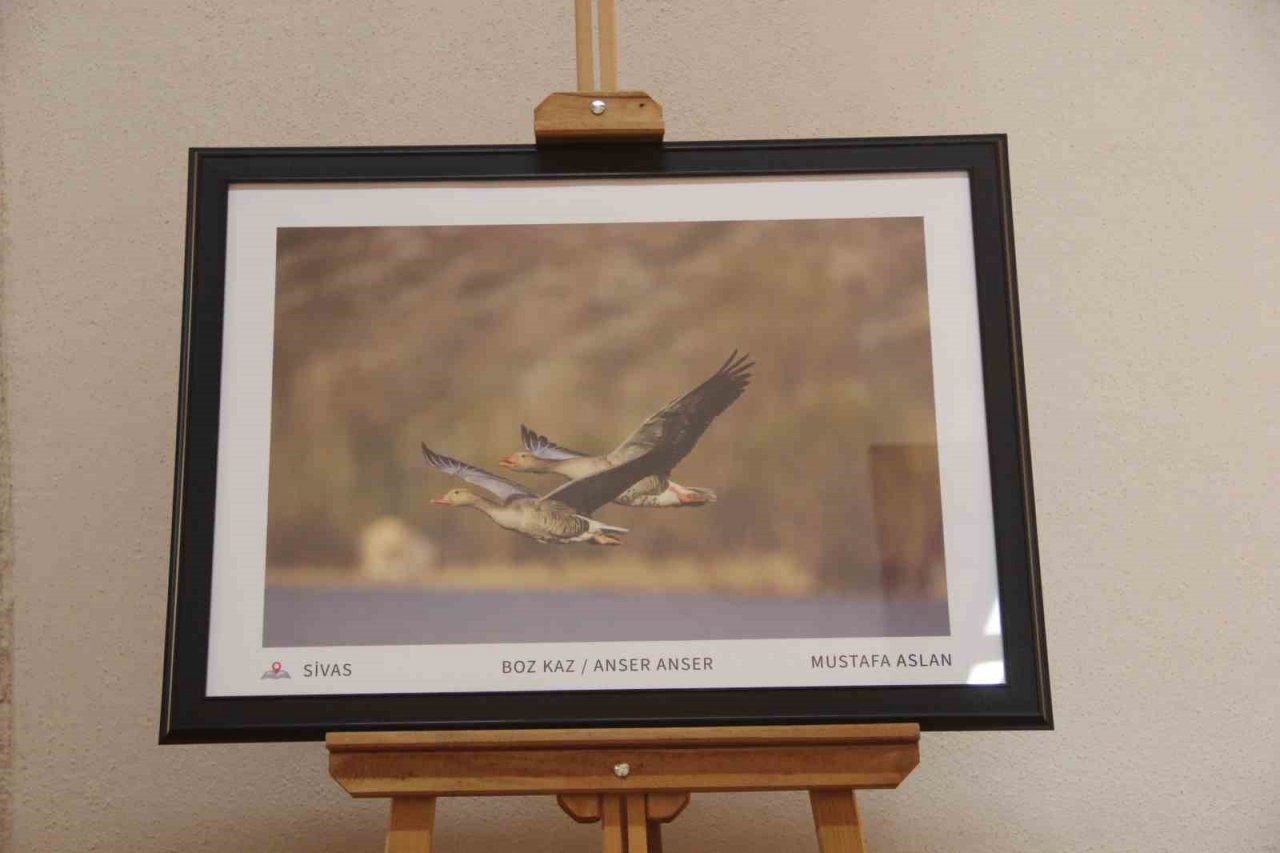 Çektiği doğa fotoğrafları lösemili çocukların umudu oldu