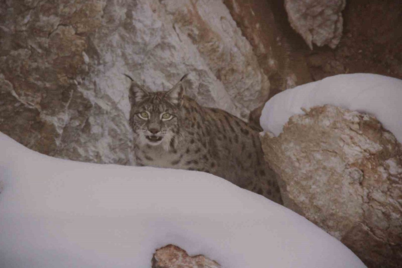 Çektiği doğa fotoğrafları lösemili çocukların umudu oldu