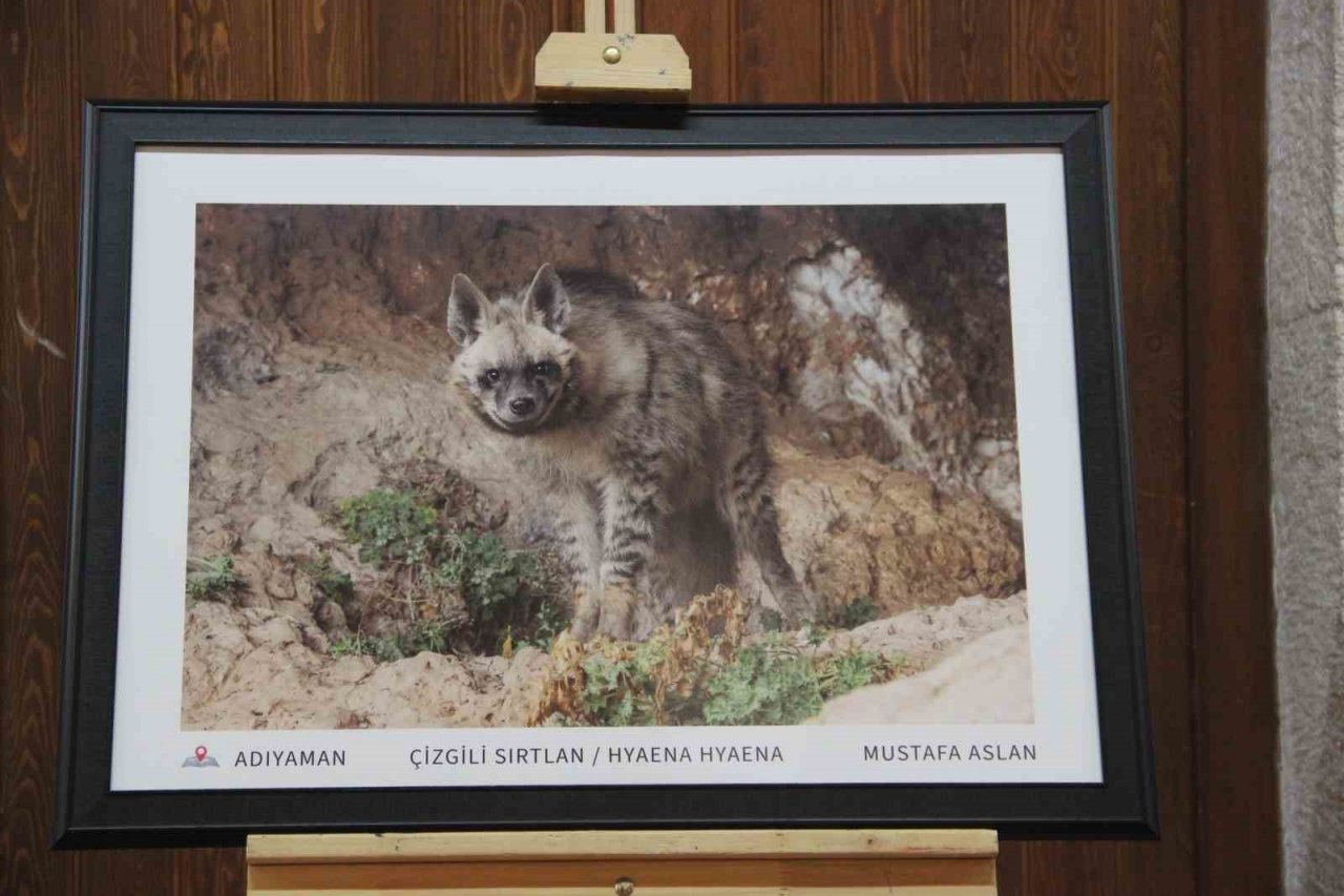 Çektiği doğa fotoğrafları lösemili çocukların umudu oldu