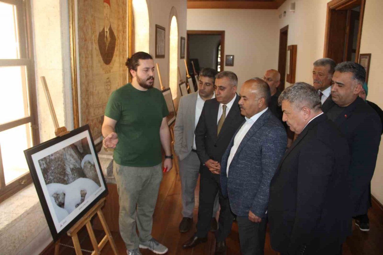 Çektiği doğa fotoğrafları lösemili çocukların umudu oldu