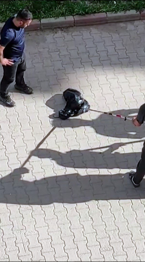 Sosyal medyada paylaşılan anakonda büyüklüğündeki yılan paniğe neden oldu, gerçek itfaiye ekiplerin gelmesiyle ortaya çıktı