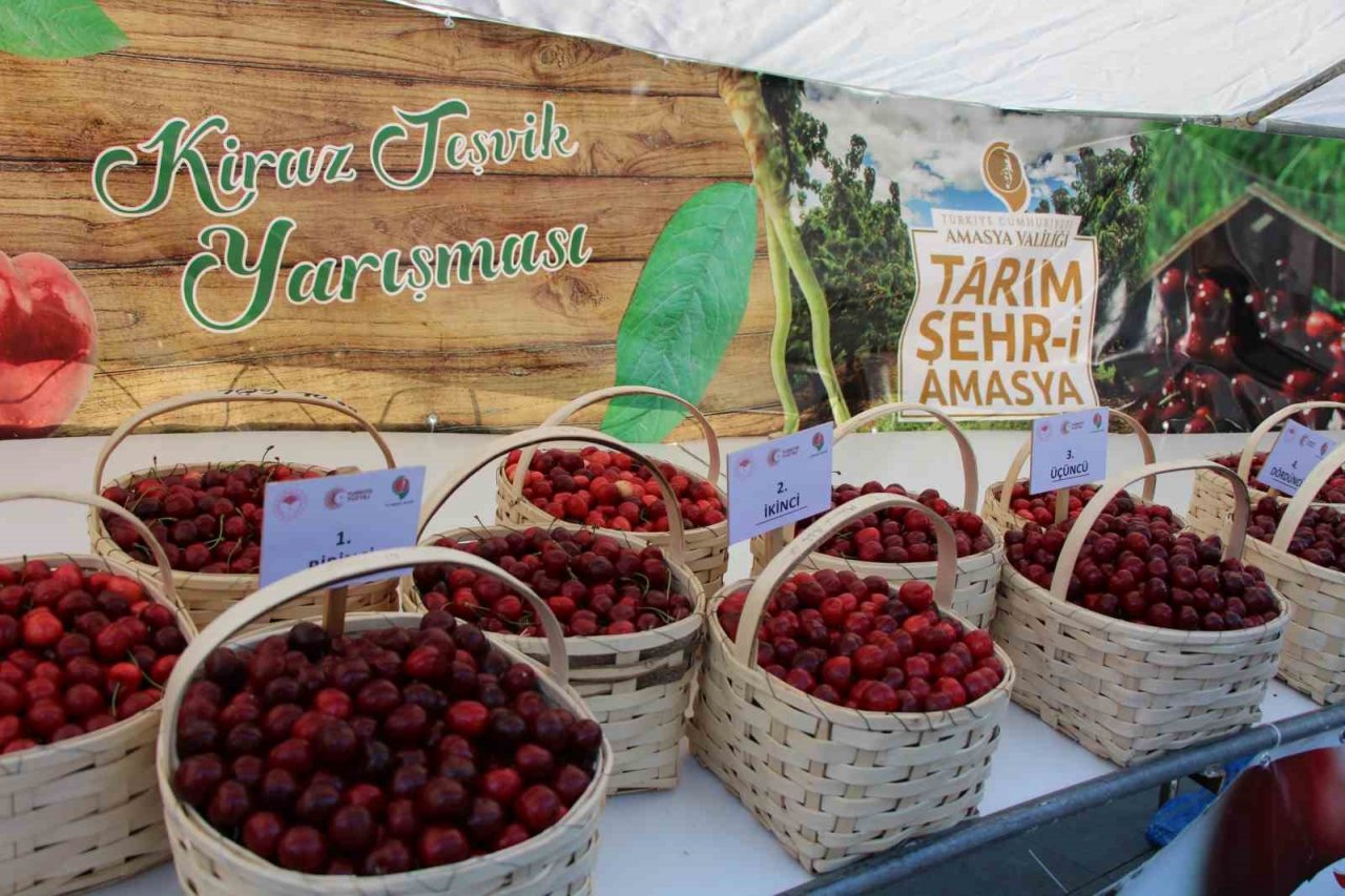 Amasya kiraz üretiminde Türkiye üçüncüsü