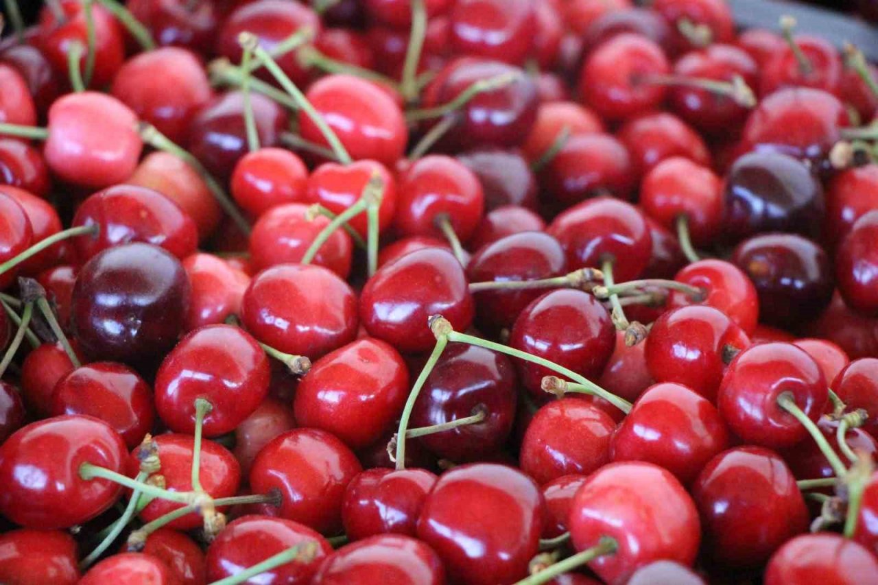 Amasya kiraz üretiminde Türkiye üçüncüsü