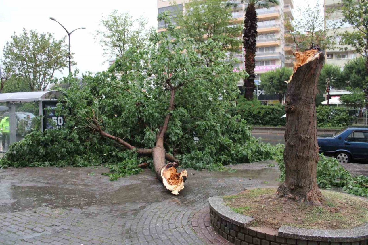 Sağanak yağış yolları göle çevirdi, ağaçları devirdi