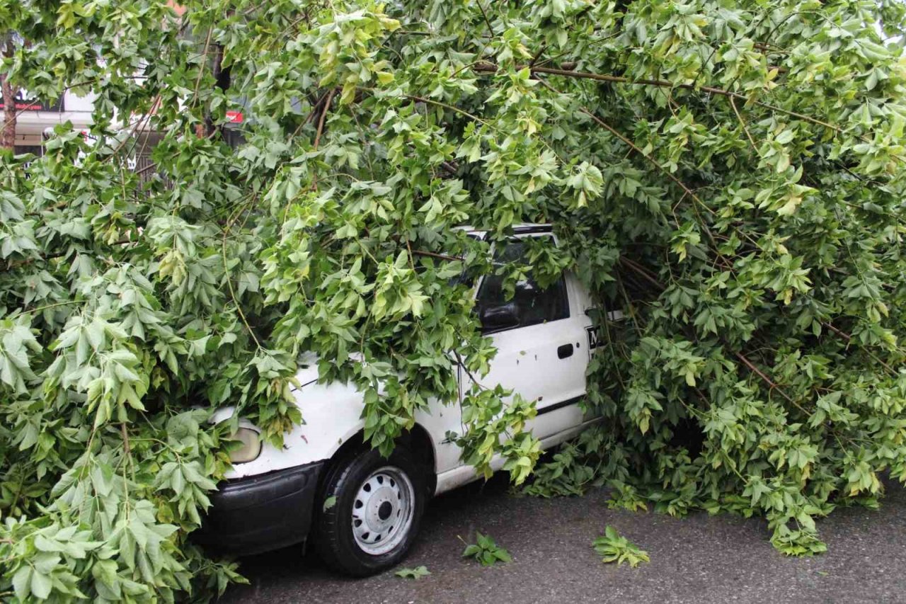 Sağanak yağış yolları göle çevirdi, ağaçları devirdi