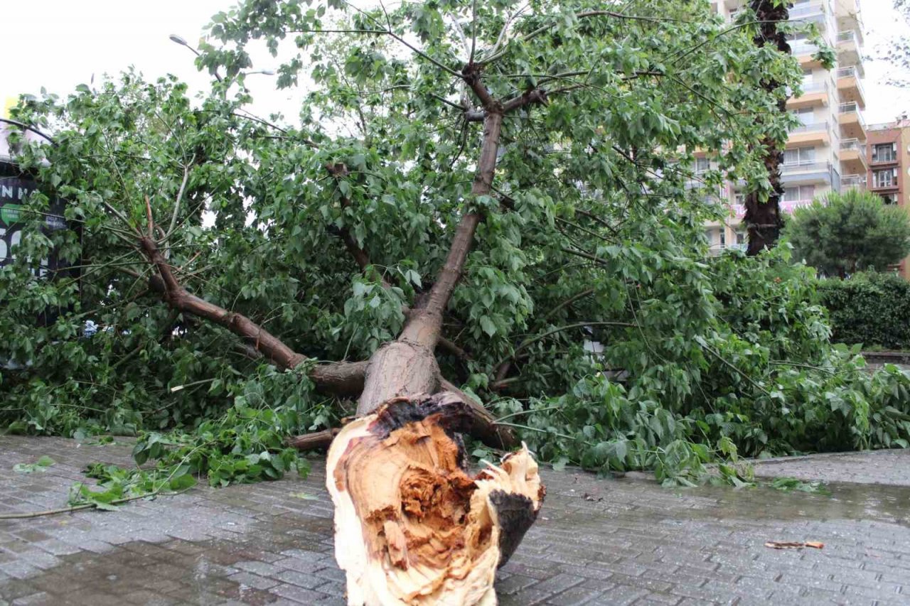 Sağanak yağış yolları göle çevirdi, ağaçları devirdi