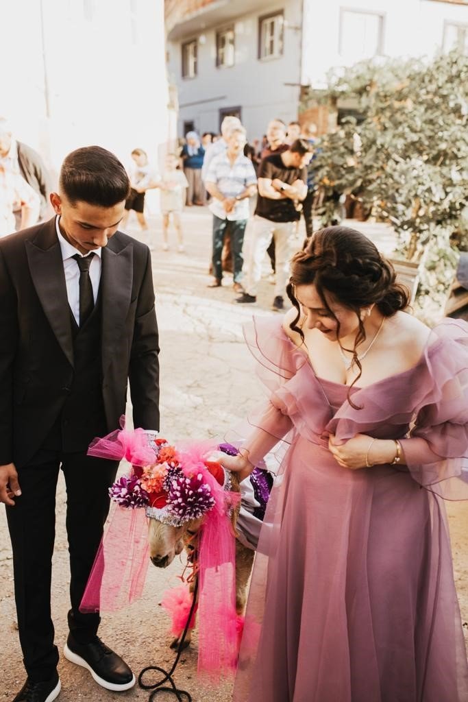 Aydın’da ‘Gelin adayına süslü koç gönderme’ geleneği devam ediyor