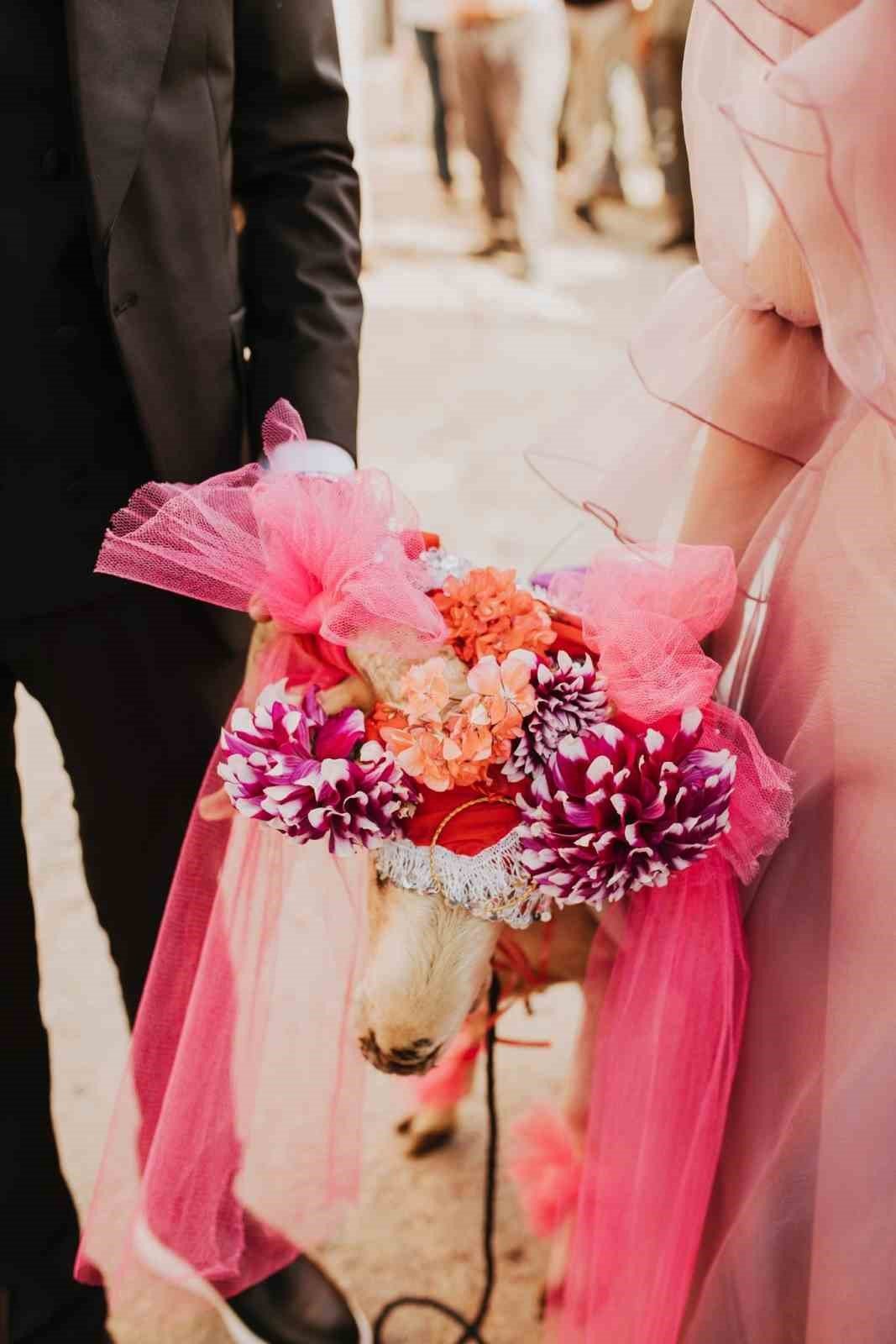 Aydın’da ‘Gelin adayına süslü koç gönderme’ geleneği devam ediyor