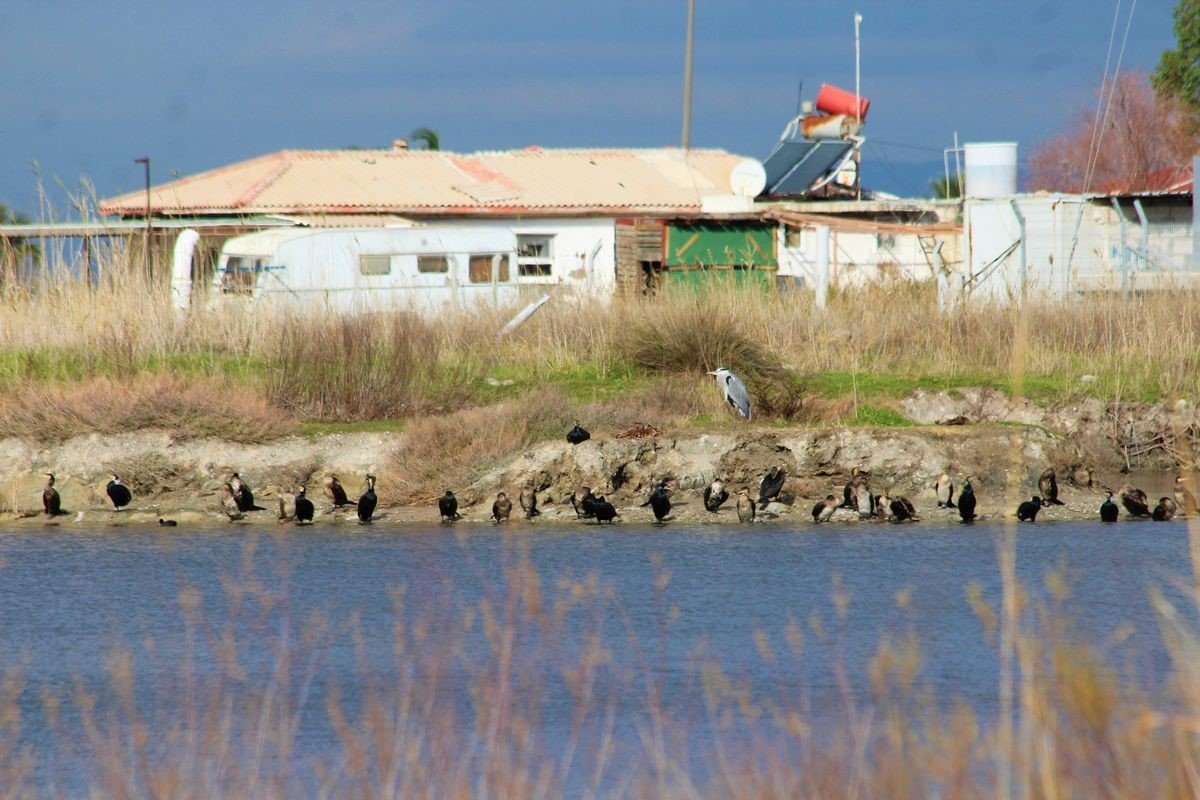Kocagöl’de kaçak yapılar sökülüyor