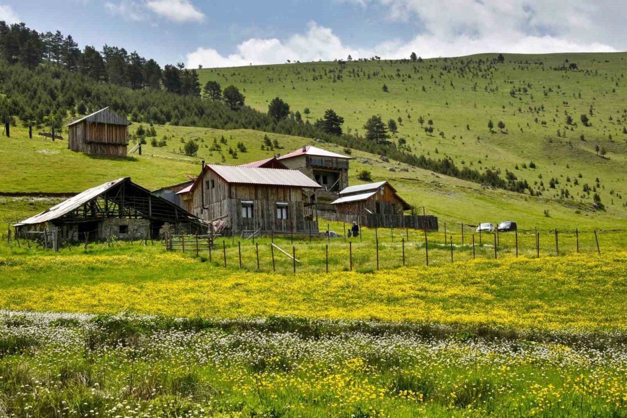 Altınpınar Gölüne ziyaretçi akını
