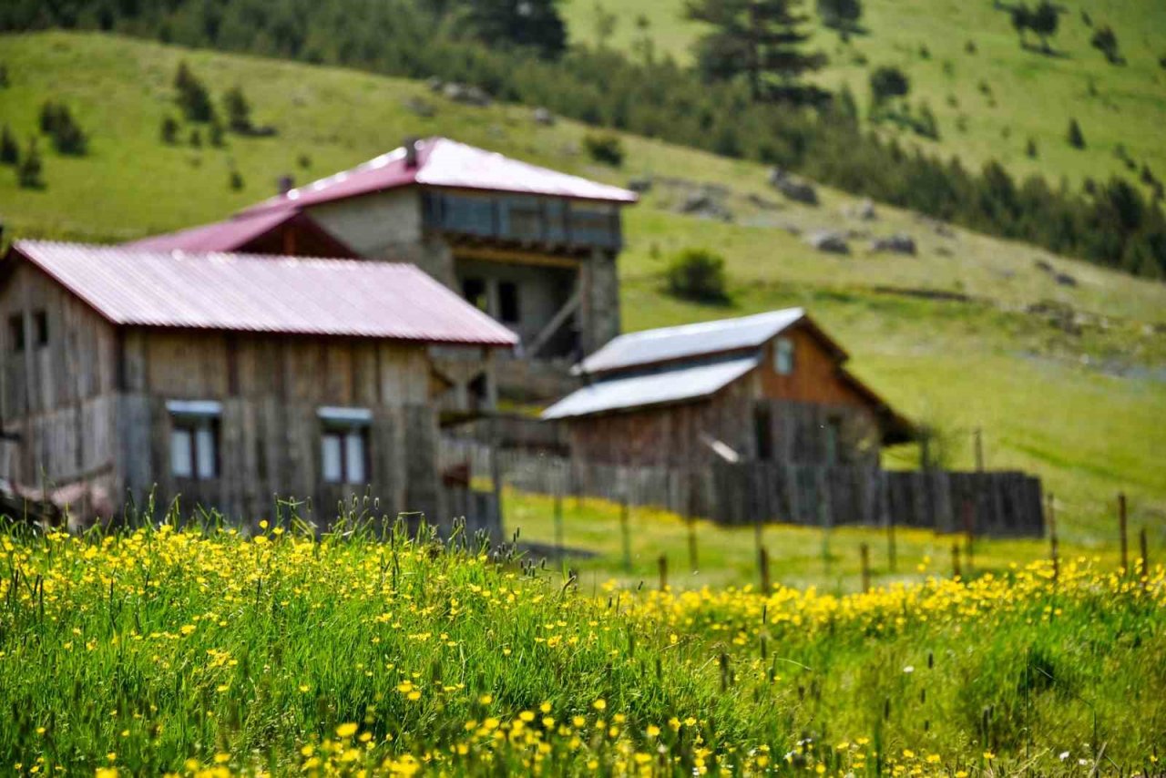 Altınpınar Gölüne ziyaretçi akını