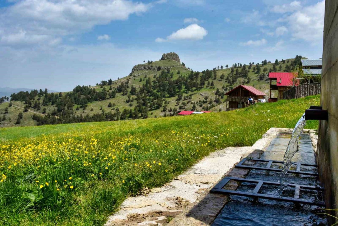 Altınpınar Gölüne ziyaretçi akını