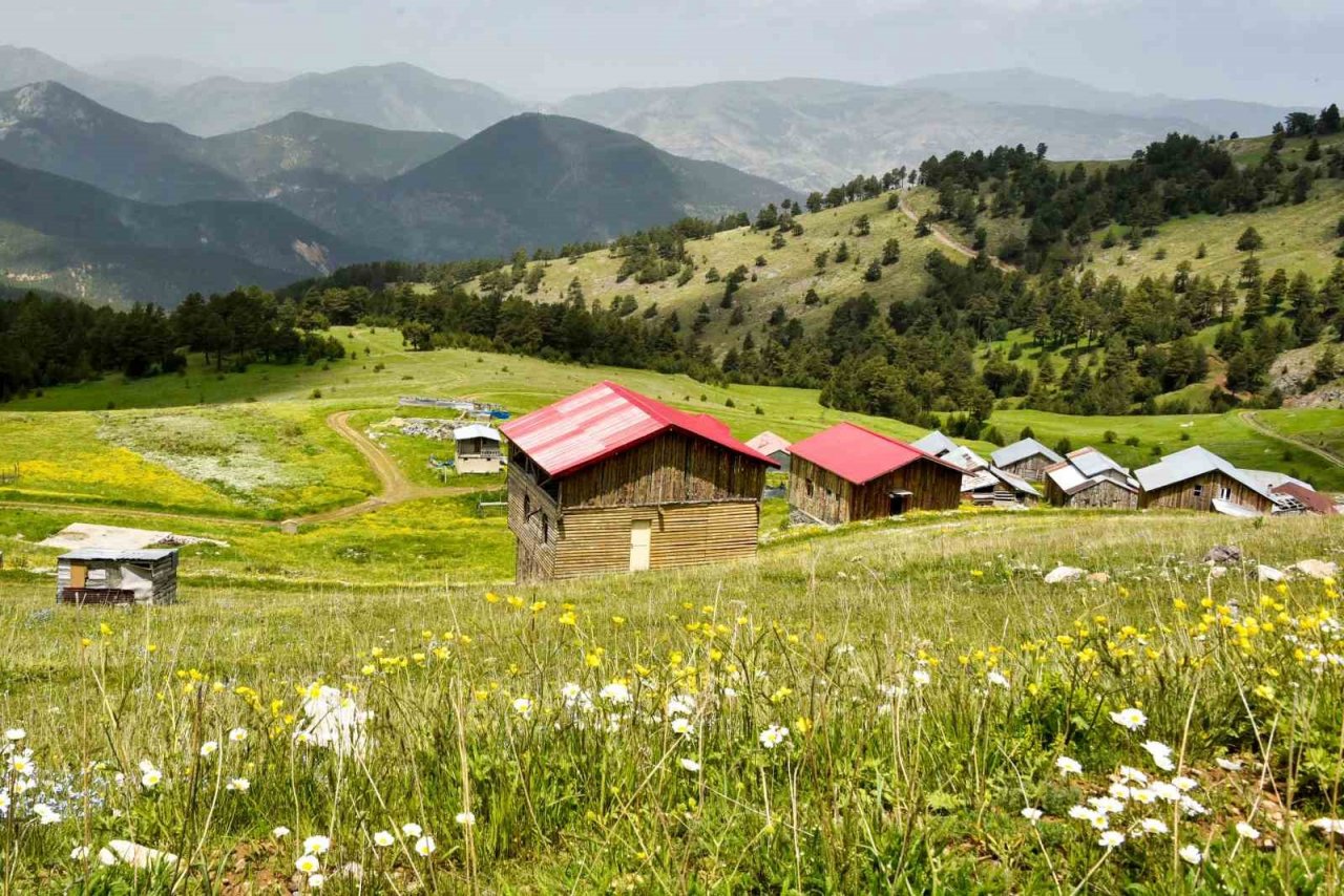 Altınpınar Gölüne ziyaretçi akını