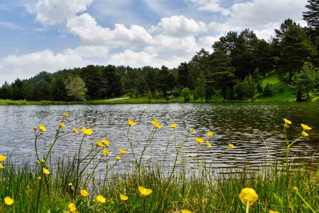Altınpınar Gölüne ziyaretçi akını