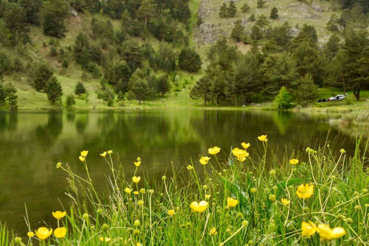 Altınpınar Gölüne ziyaretçi akını