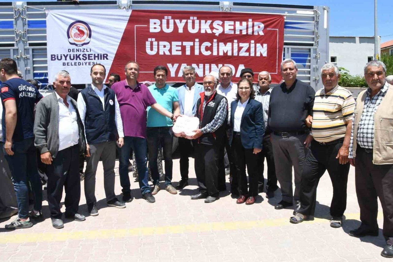 Denizli’de 646 bin hayvanın mineral ihtiyacı karşılanıyor