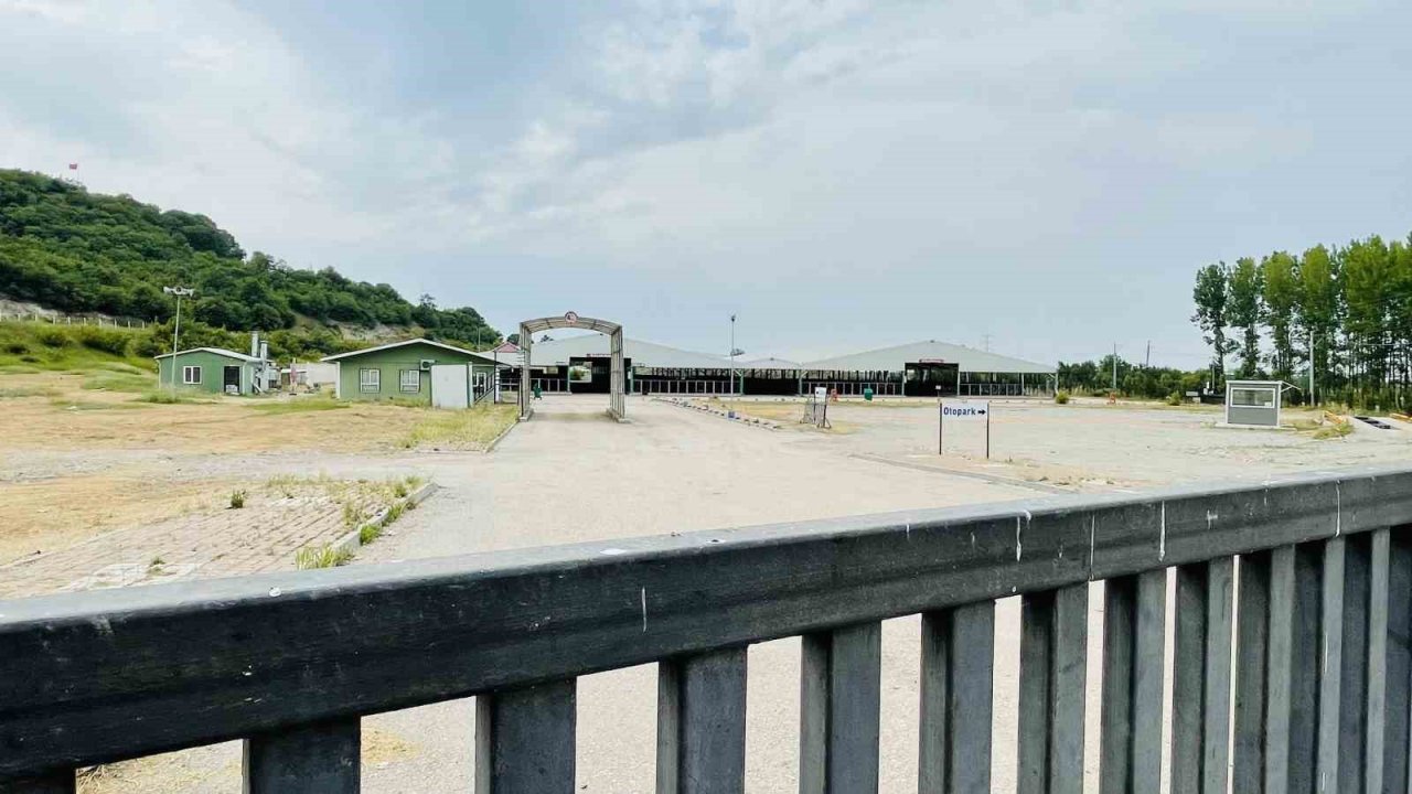 Bursa’daki hayvan pazarlarında şap karantinası