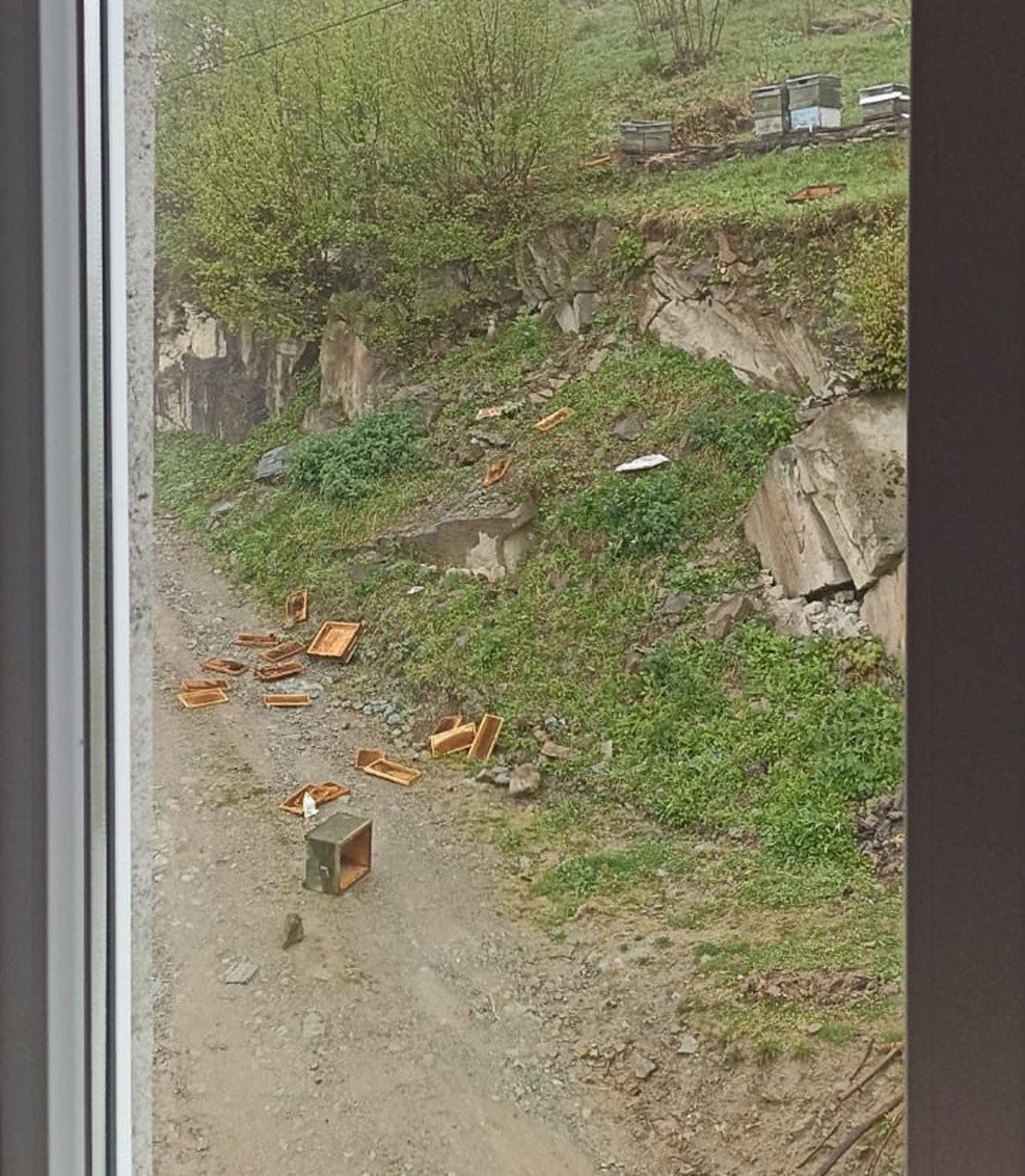 Trabzon’un o ilçesinde ayı kabusu sürüyor