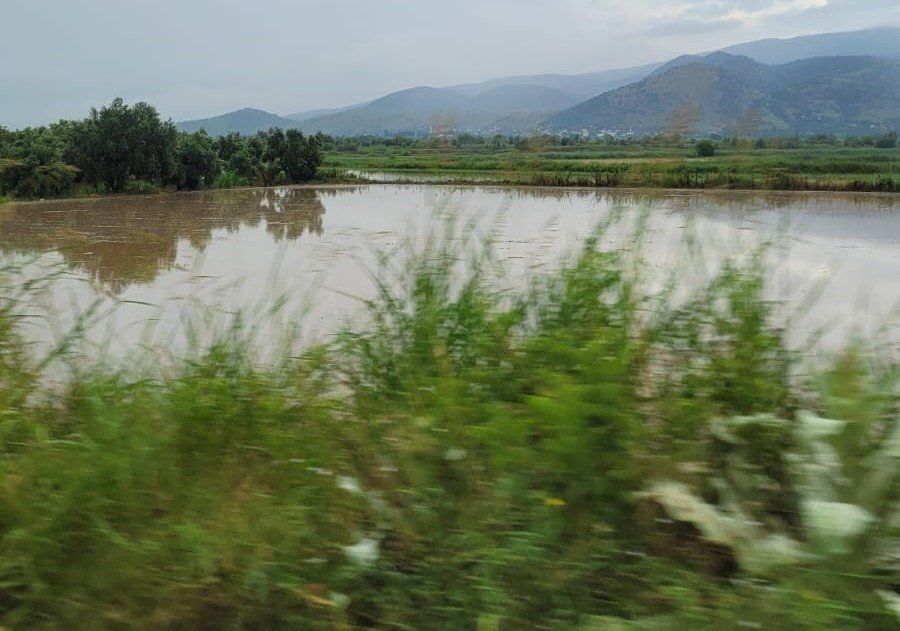 Sağanak yağış Bozdoğan’da etkili oldu