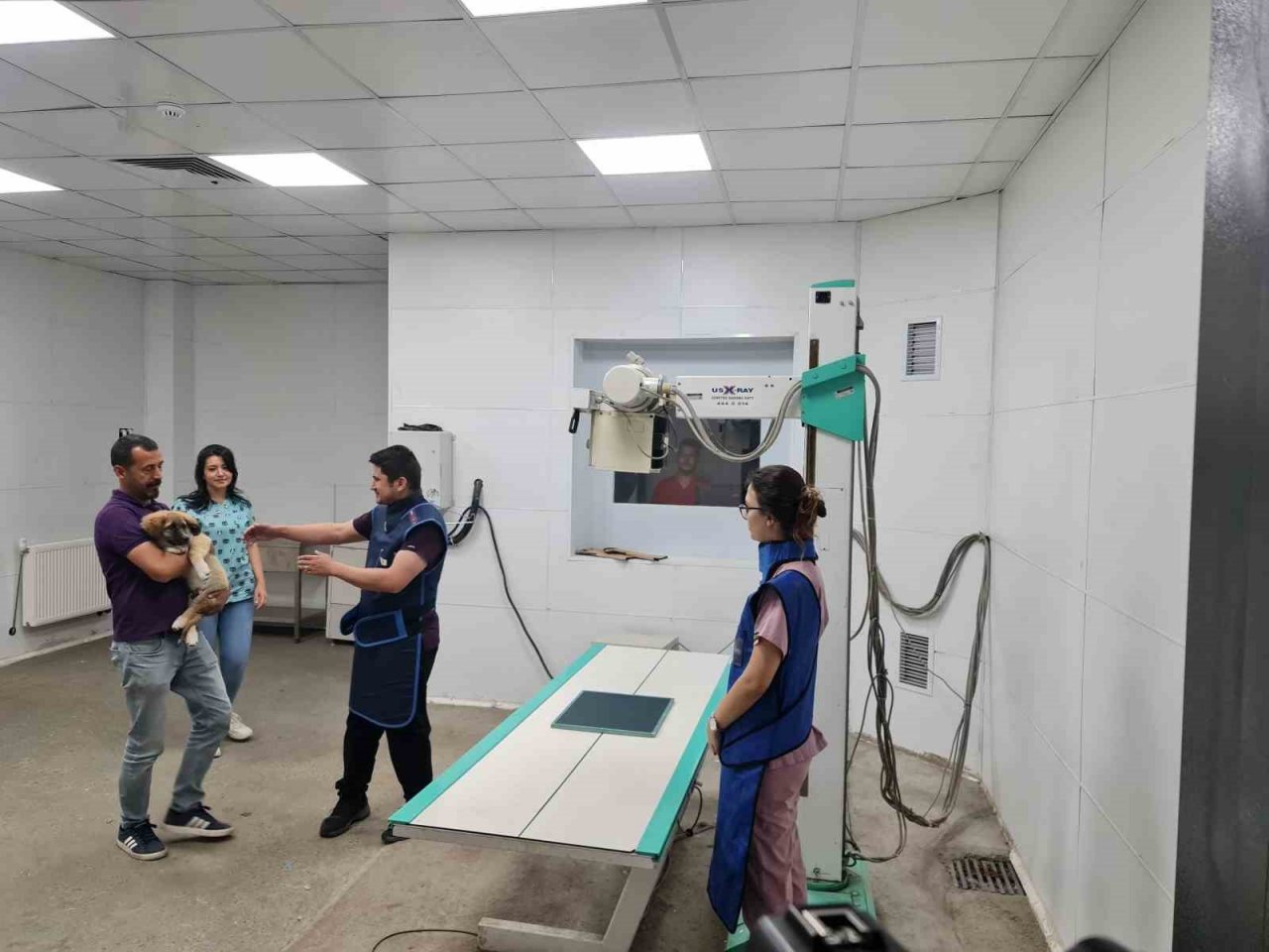 Bingöl’deki tam donanımlı hayvan hastanesi, bölgeye hitap ediyor