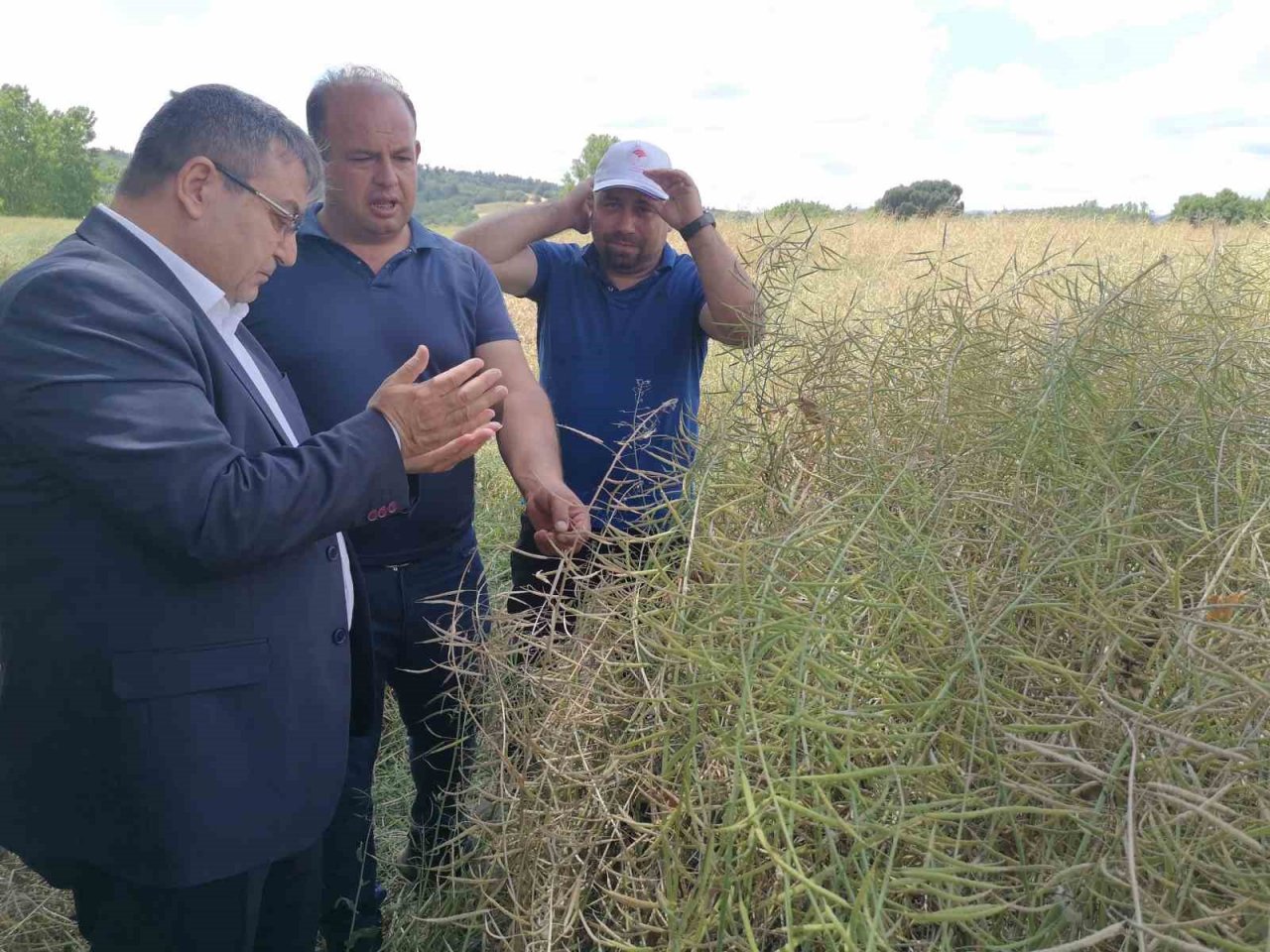 ‘Kanola ekelim yağ olsun bal olsun’
