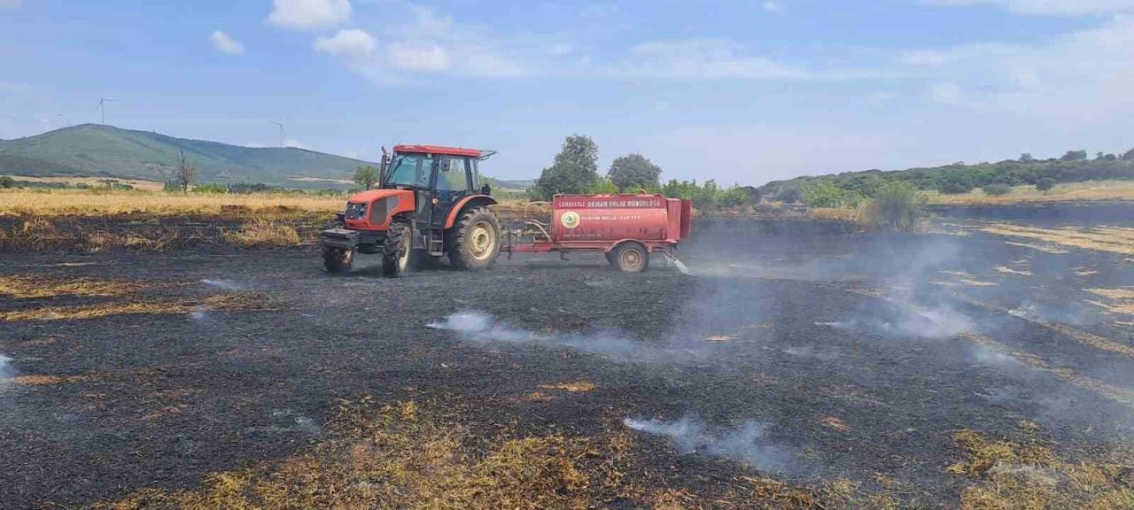 Çanakkale’de 45 dönüm tarım arazisi yanarak kül oldu