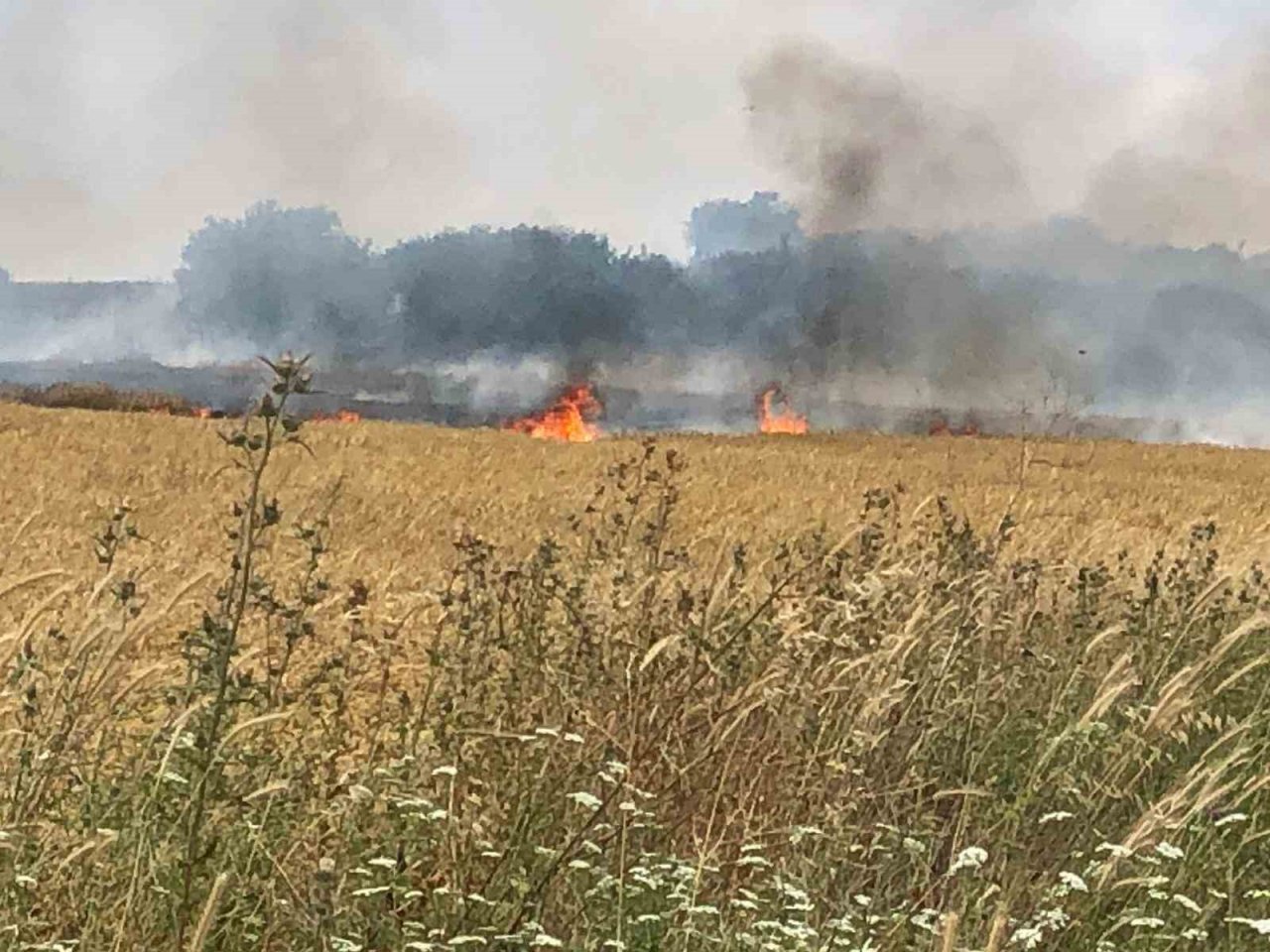 Çanakkale’de 45 dönüm tarım arazisi yanarak kül oldu