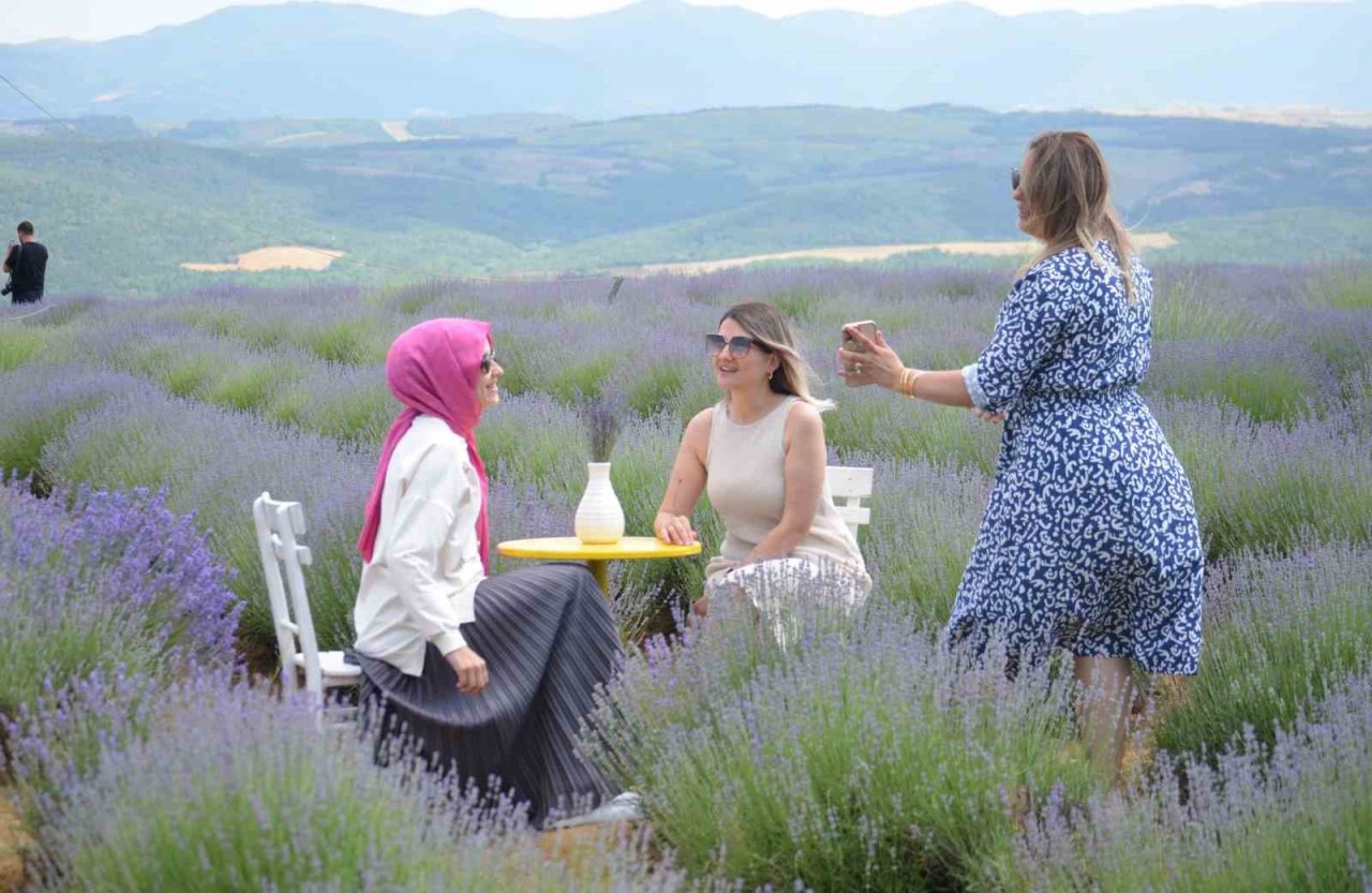 Tekirdağ’da mor turizm başladı: Buraya stresli girmek yasak