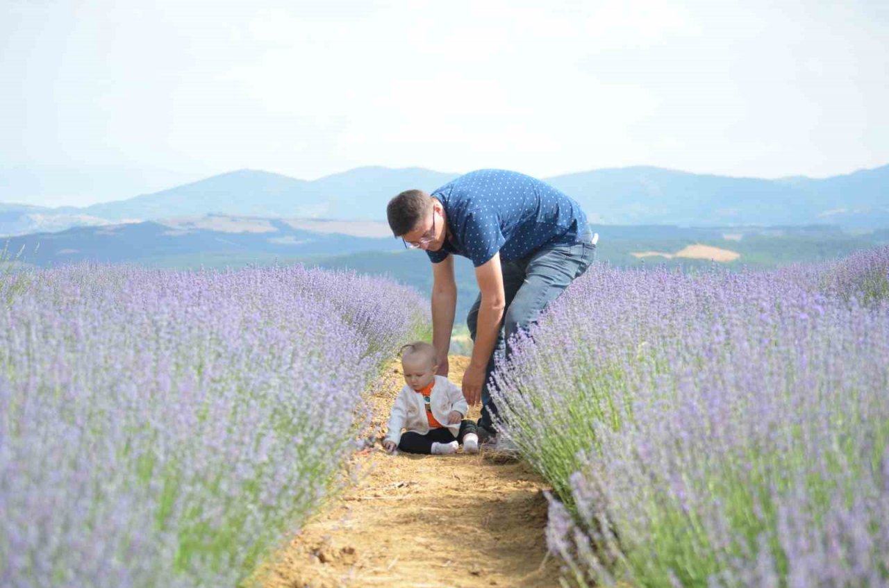 Tekirdağ’da mor turizm başladı: Buraya stresli girmek yasak