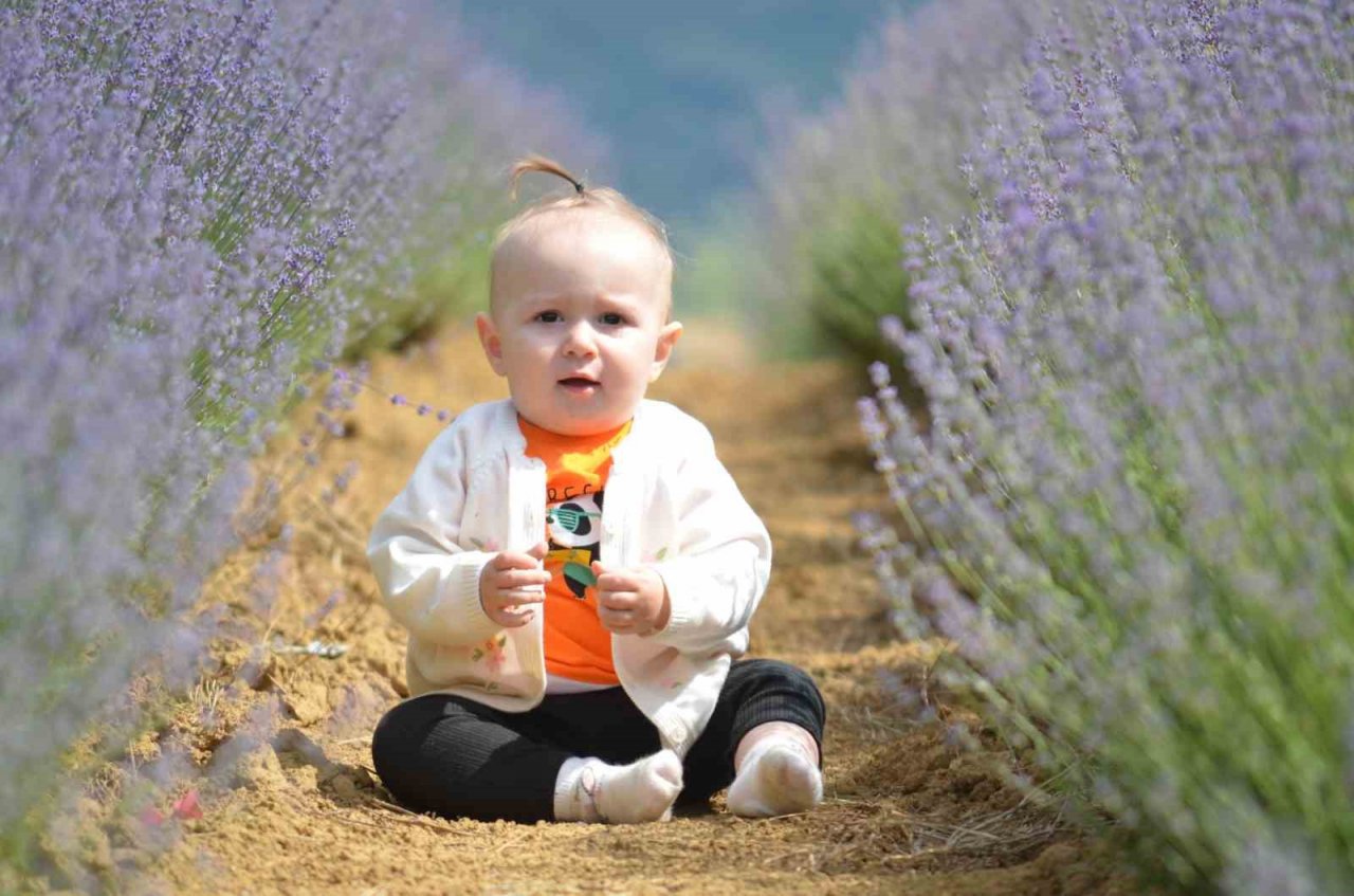 Tekirdağ’da mor turizm başladı: Buraya stresli girmek yasak