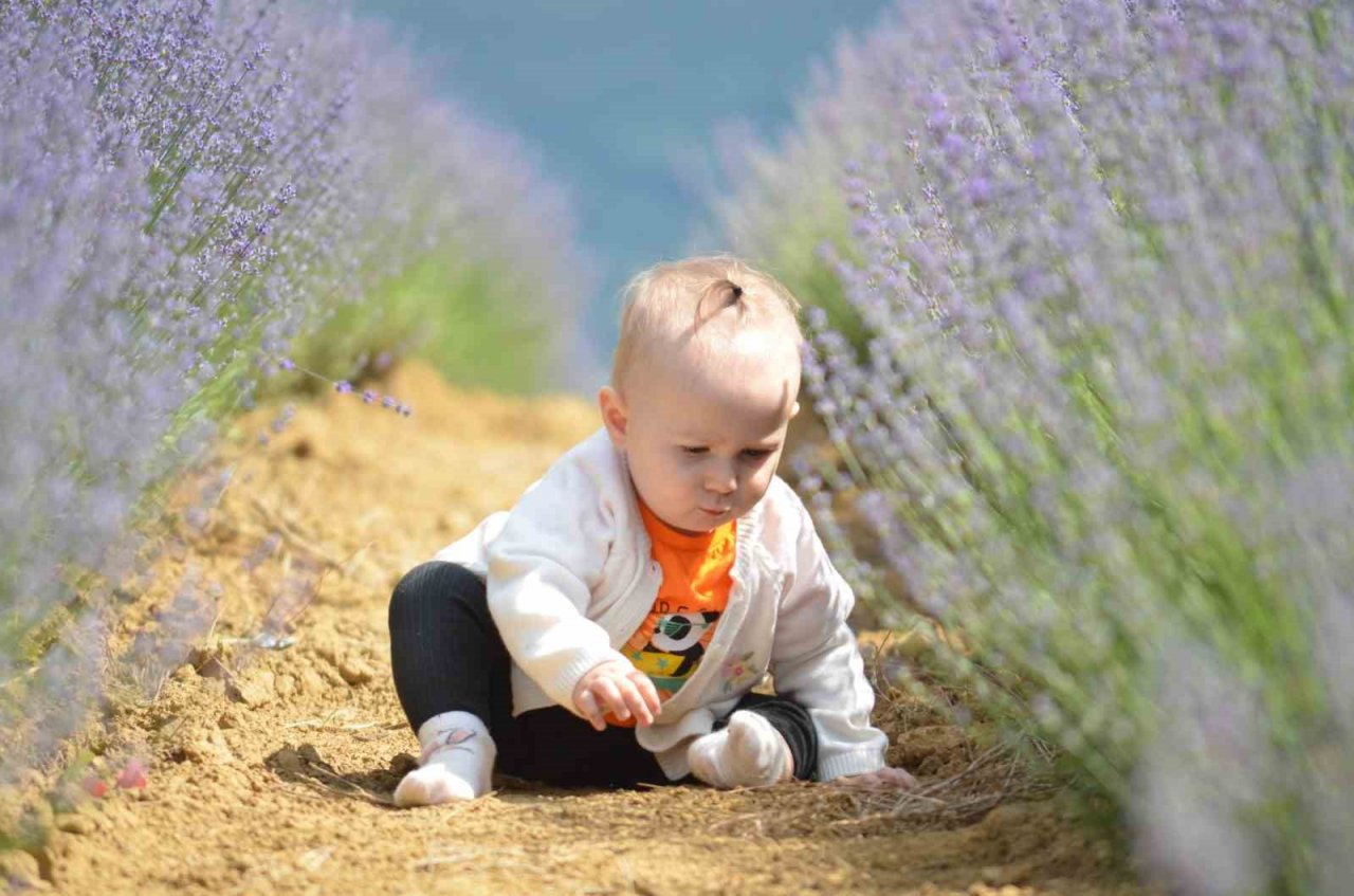 Tekirdağ’da mor turizm başladı: Buraya stresli girmek yasak