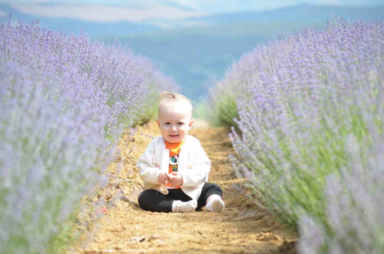 Tekirdağ’da mor turizm başladı: Buraya stresli girmek yasak