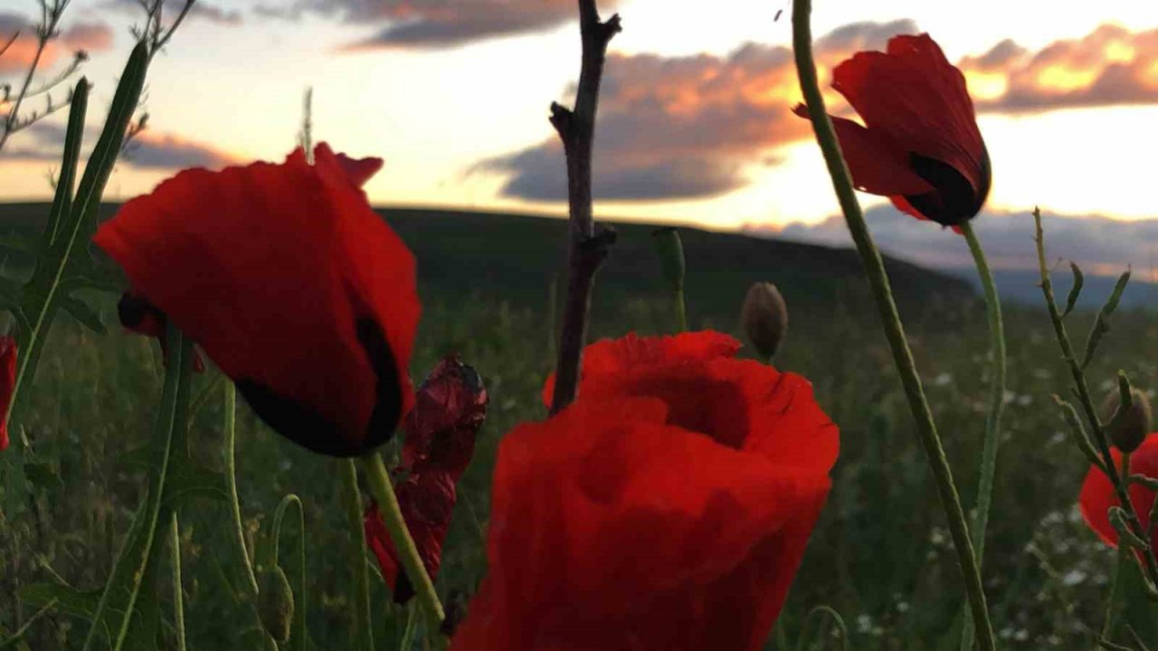 Kars’ta gün batımı kartpostallık görüntüler oluşturdu