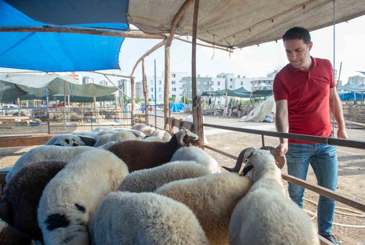 Seyhan’da kurban satış ve kesim yerleri belirlendi
