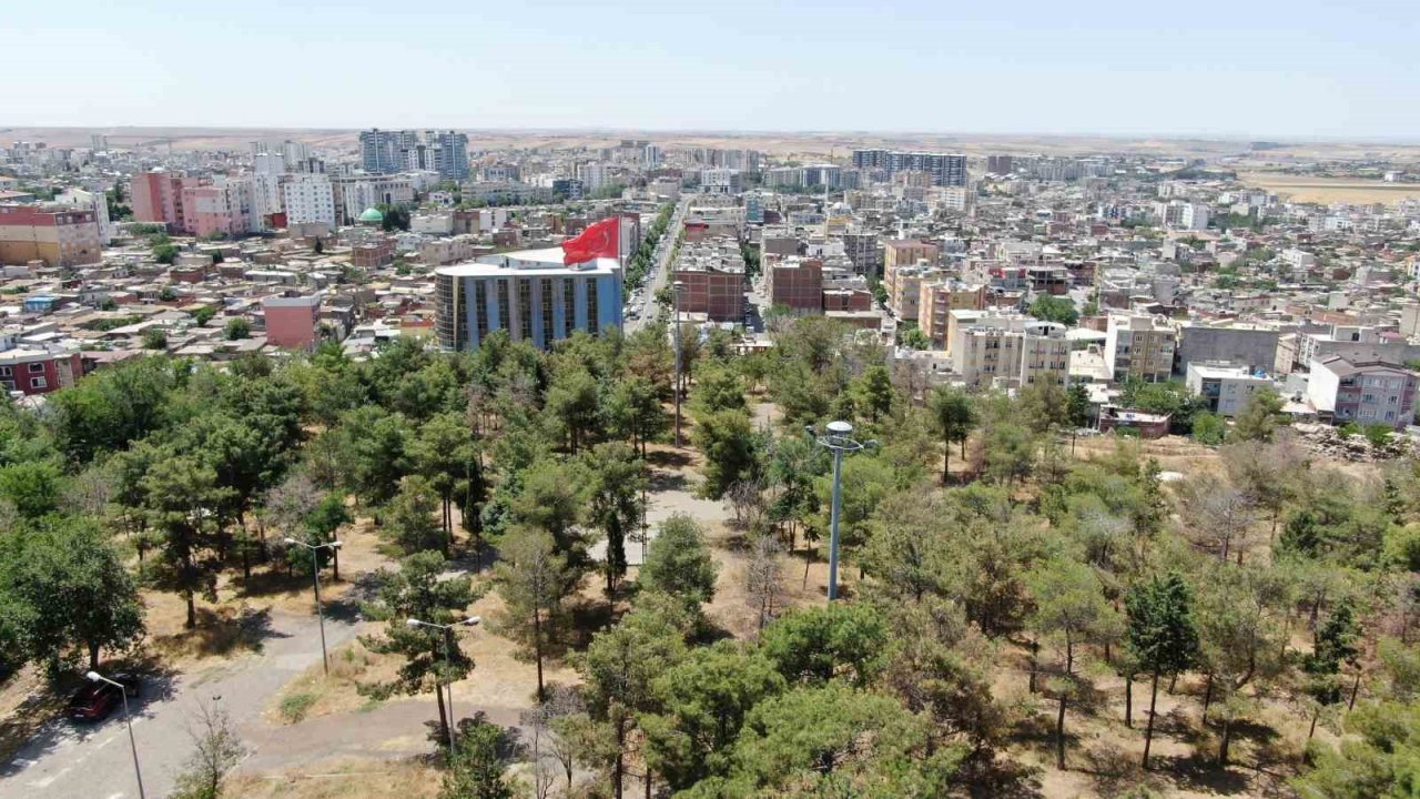 Sivereklileri il olma heyecanı sardı