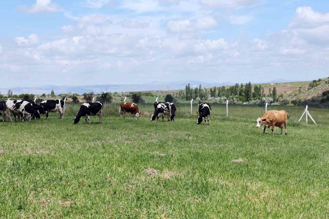 Talas Belediyesi Üreticiye Örnek Oldu