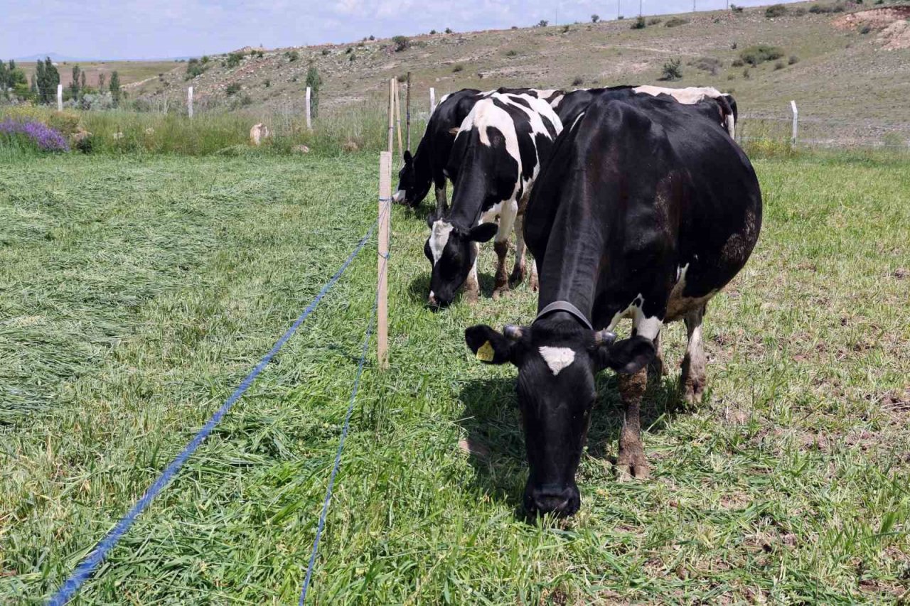 Talas Belediyesi Üreticiye Örnek Oldu