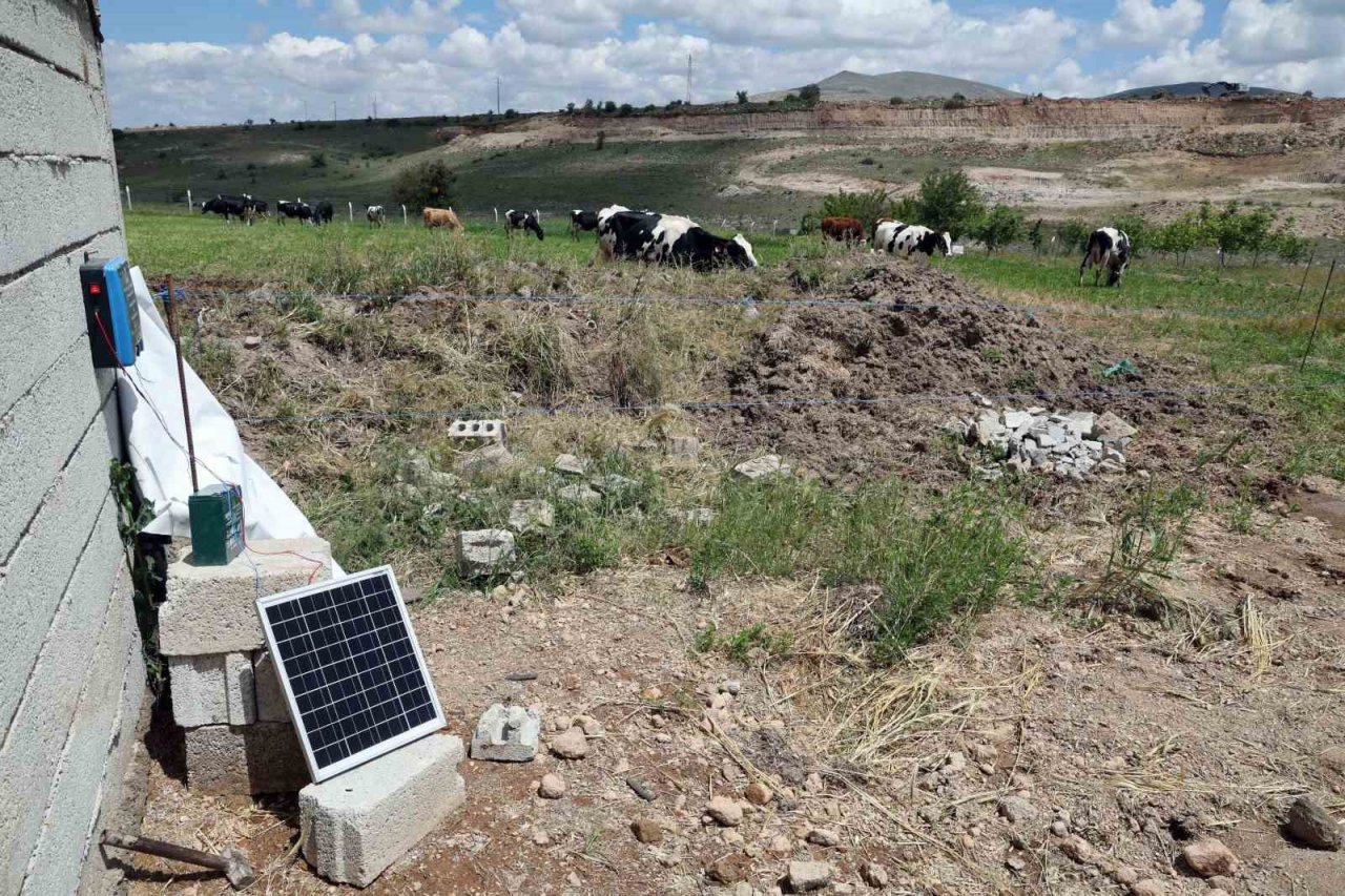 Talas Belediyesi Üreticiye Örnek Oldu