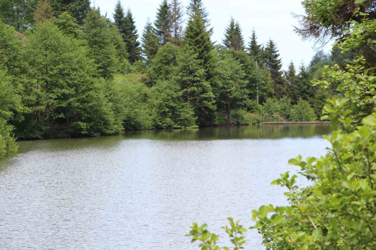 Trabzon’un saklı güzelliği: Balıklı Göl