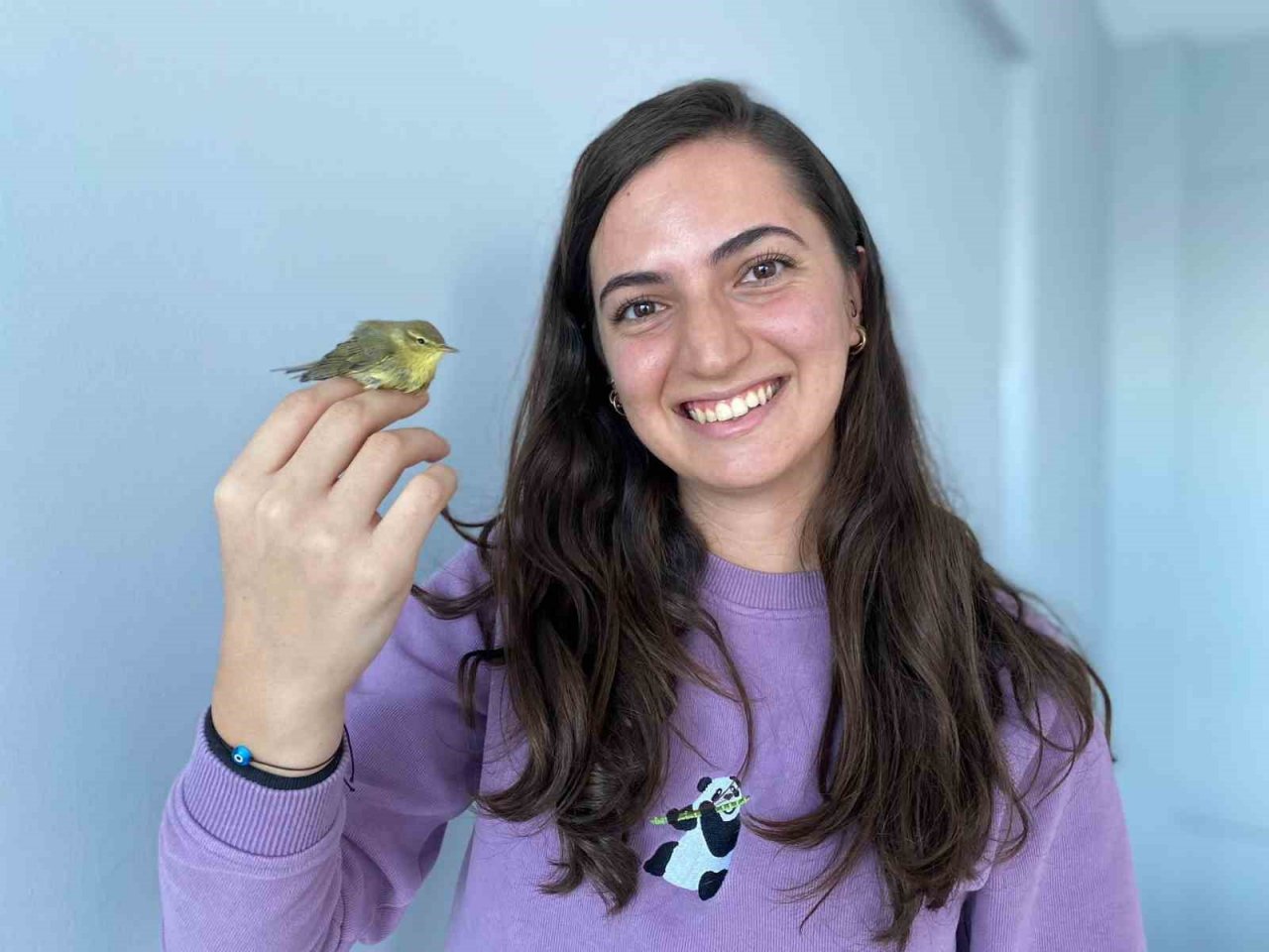 Böcek ilacı kullanırken dikkat: Hayvanlar için hayati risk oluşturuyor