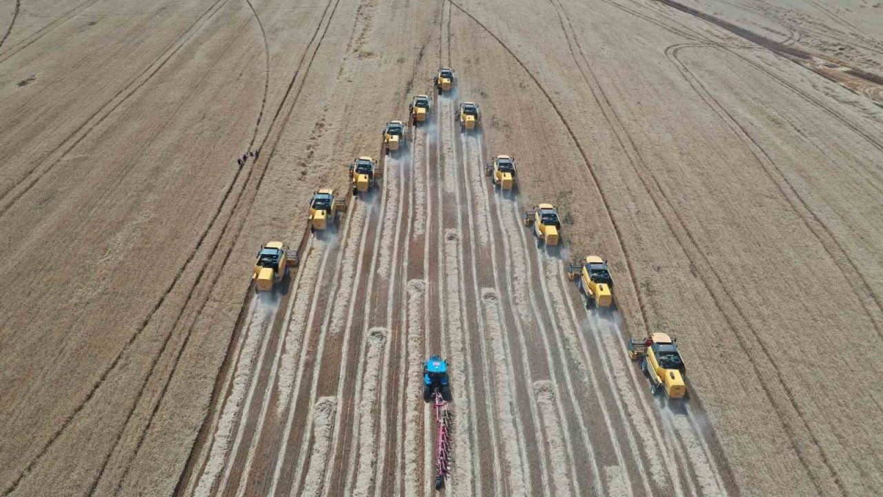 Türkiye’nin tahıl ambarında bu yıl 200 bin ton buğday hasadı bekleniyor